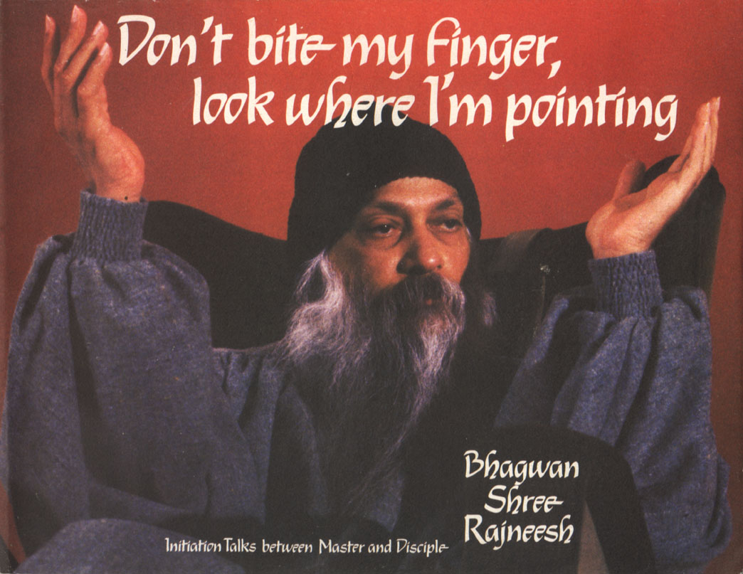 Don't Bite My Finger, Look Where I'm Pointing