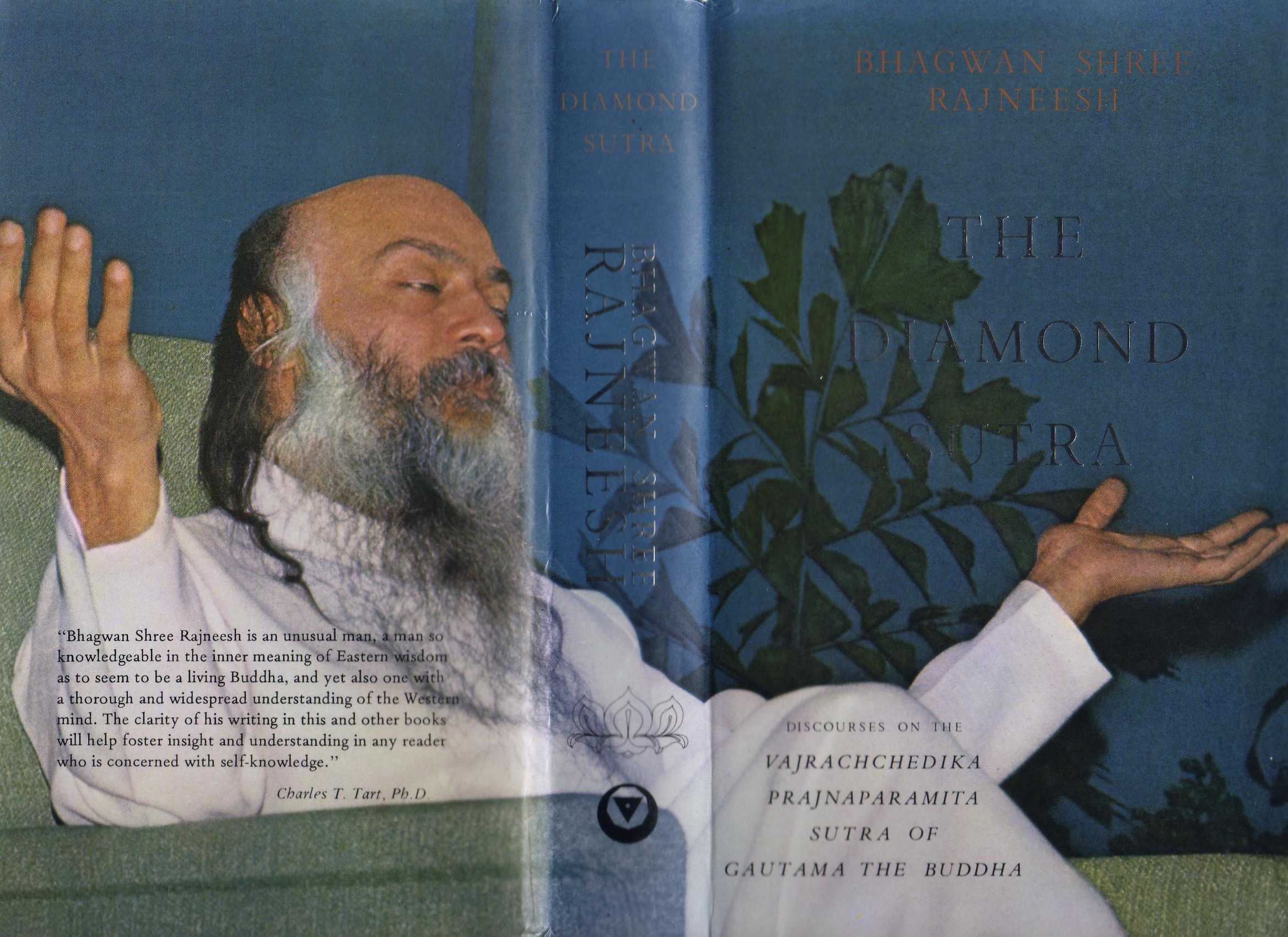 The Diamond Sutra